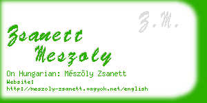 zsanett meszoly business card