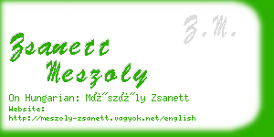 zsanett meszoly business card